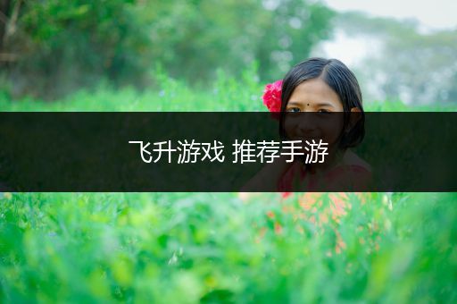 飞升游戏 推荐手游