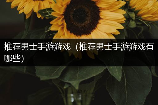推荐男士手游游戏（推荐男士手游游戏有哪些）
