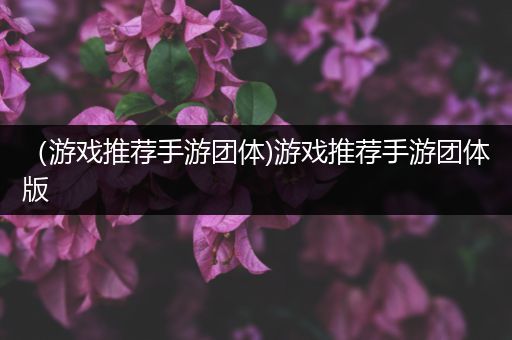 （游戏推荐手游团体)游戏推荐手游团体版