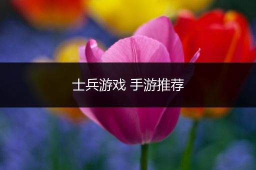 士兵游戏 手游推荐