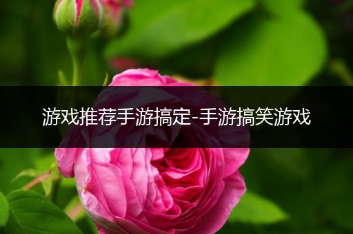 游戏推荐手游搞定-手游搞笑游戏