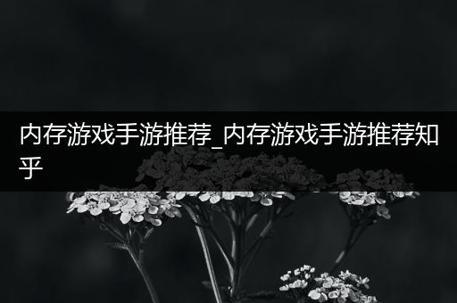 内存游戏手游推荐_内存游戏手游推荐知乎