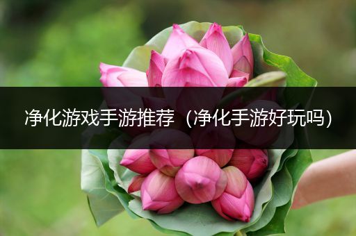 净化游戏手游推荐（净化手游好玩吗）
