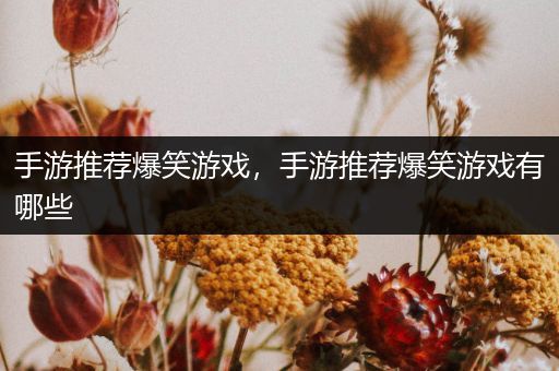 手游推荐爆笑游戏，手游推荐爆笑游戏有哪些