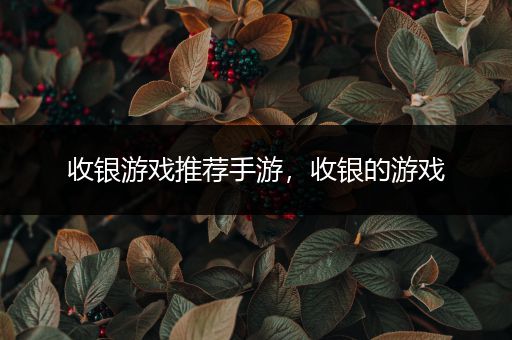 收银游戏推荐手游，收银的游戏