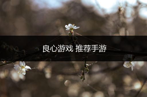 良心游戏 推荐手游