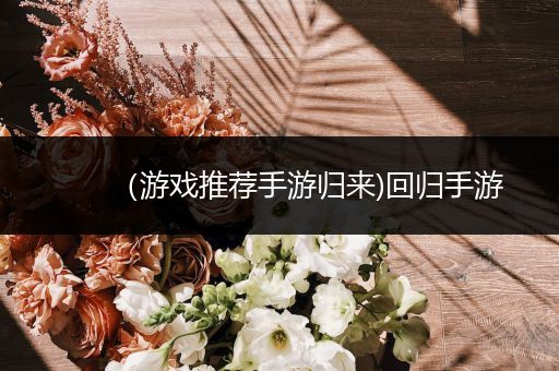 （游戏推荐手游归来)回归手游