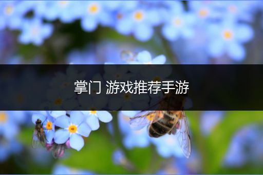 掌门 游戏推荐手游