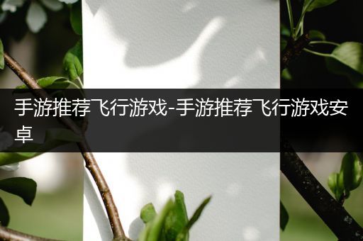 手游推荐飞行游戏-手游推荐飞行游戏安卓