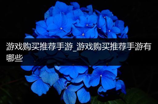 游戏购买推荐手游_游戏购买推荐手游有哪些