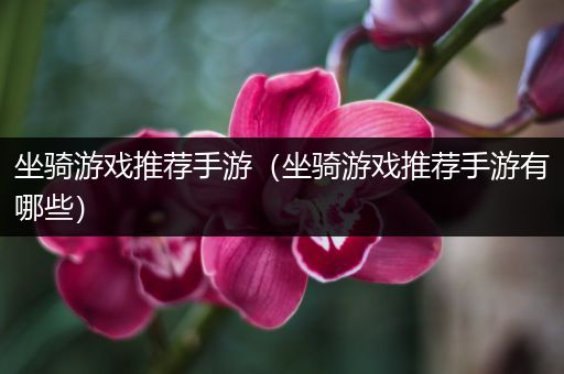 坐骑游戏推荐手游（坐骑游戏推荐手游有哪些）