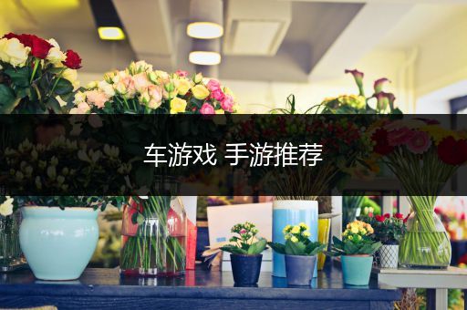 车游戏 手游推荐