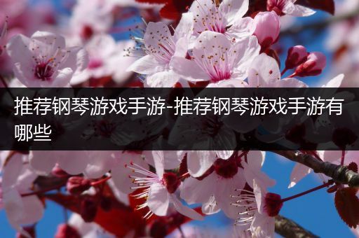 推荐钢琴游戏手游-推荐钢琴游戏手游有哪些