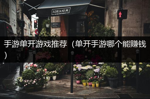 手游单开游戏推荐（单开手游哪个能赚钱）