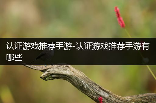 认证游戏推荐手游-认证游戏推荐手游有哪些