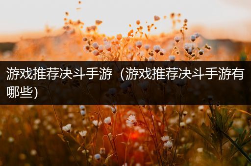 游戏推荐决斗手游（游戏推荐决斗手游有哪些）