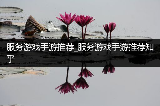 服务游戏手游推荐_服务游戏手游推荐知乎