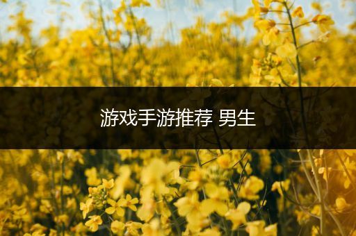 游戏手游推荐 男生
