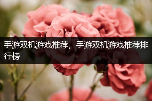 手游双机游戏推荐，手游双机游戏推荐排行榜