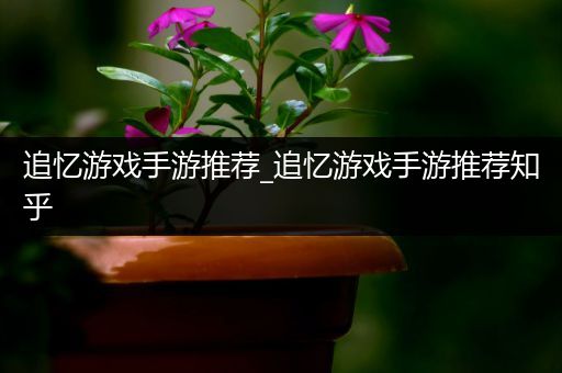 追忆游戏手游推荐_追忆游戏手游推荐知乎