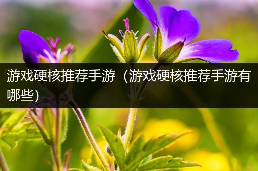游戏硬核推荐手游（游戏硬核推荐手游有哪些）