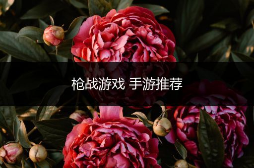 枪战游戏 手游推荐
