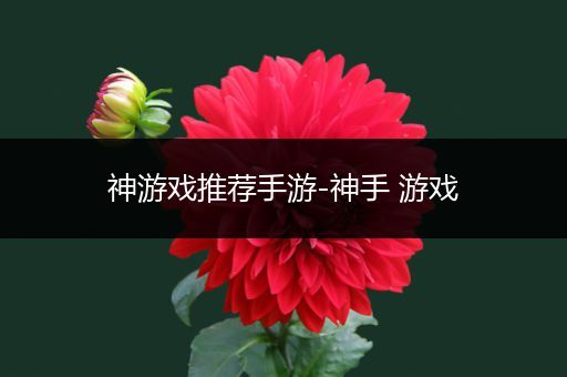 神游戏推荐手游-神手 游戏