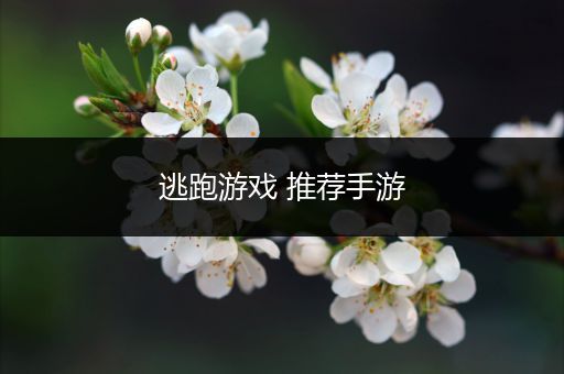 逃跑游戏 推荐手游