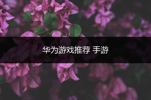华为游戏推荐 手游