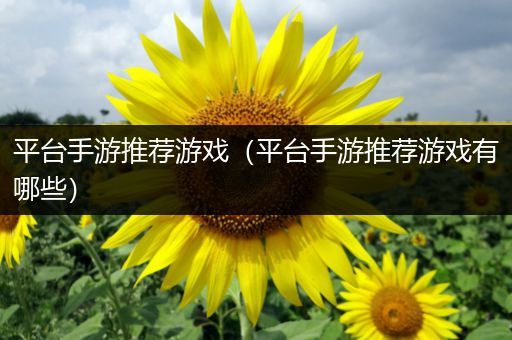 平台手游推荐游戏（平台手游推荐游戏有哪些）