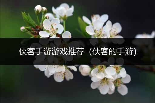 侠客手游游戏推荐（侠客的手游）