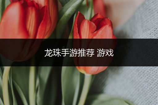 龙珠手游推荐 游戏