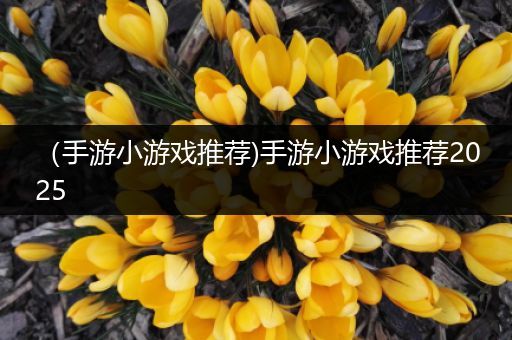 （手游小游戏推荐)手游小游戏推荐2025