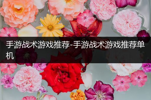 手游战术游戏推荐-手游战术游戏推荐单机