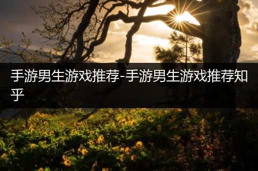 手游男生游戏推荐-手游男生游戏推荐知乎