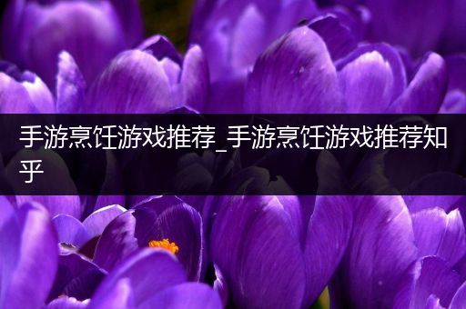 手游烹饪游戏推荐_手游烹饪游戏推荐知乎