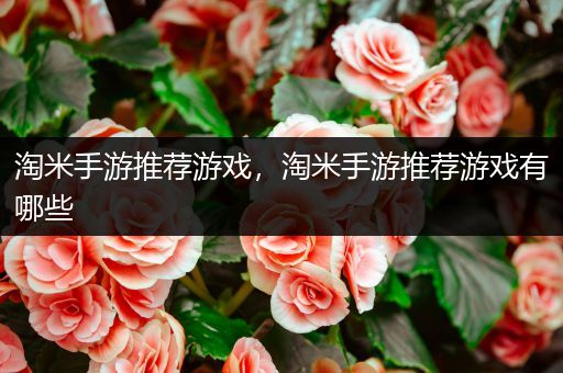 淘米手游推荐游戏，淘米手游推荐游戏有哪些