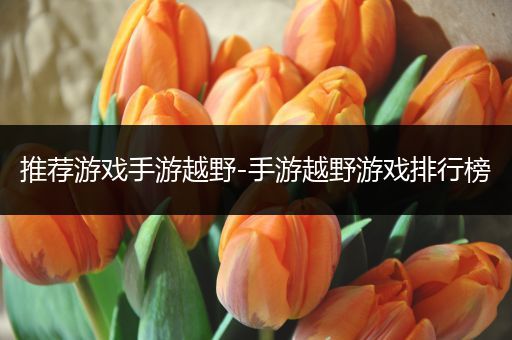 推荐游戏手游越野-手游越野游戏排行榜