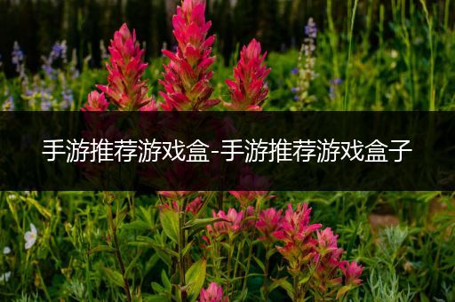 手游推荐游戏盒-手游推荐游戏盒子