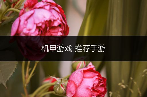机甲游戏 推荐手游