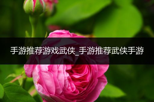 手游推荐游戏武侠_手游推荐武侠手游