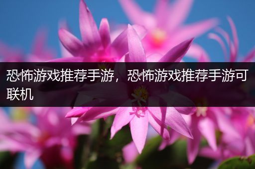 恐怖游戏推荐手游，恐怖游戏推荐手游可联机