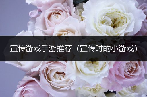 宣传游戏手游推荐（宣传时的小游戏）