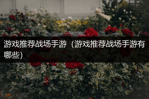 游戏推荐战场手游（游戏推荐战场手游有哪些）