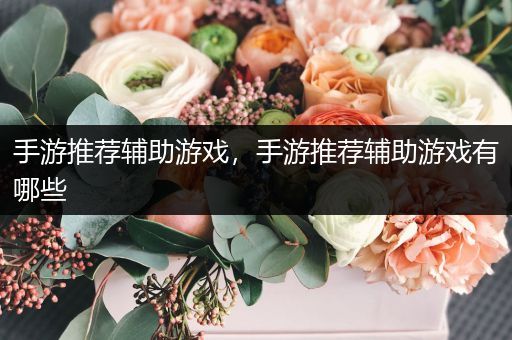 手游推荐辅助游戏，手游推荐辅助游戏有哪些
