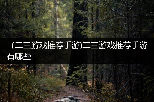 （二三游戏推荐手游)二三游戏推荐手游有哪些