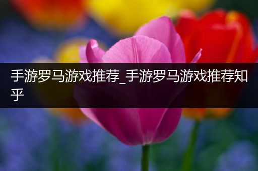 手游罗马游戏推荐_手游罗马游戏推荐知乎