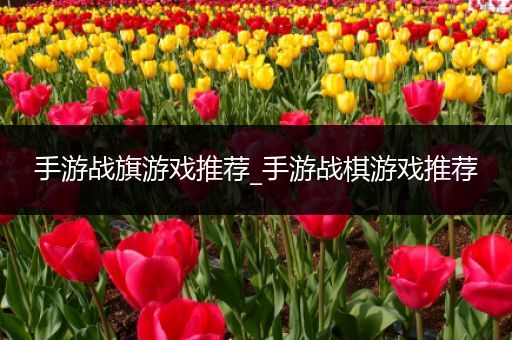 手游战旗游戏推荐_手游战棋游戏推荐