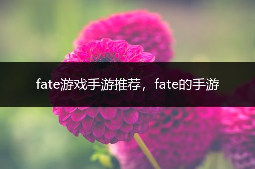 fate游戏手游推荐，fate的手游