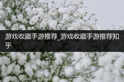 游戏收藏手游推荐_游戏收藏手游推荐知乎